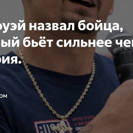 Макс Холлоуэй оценил силу удара Илии Топурии