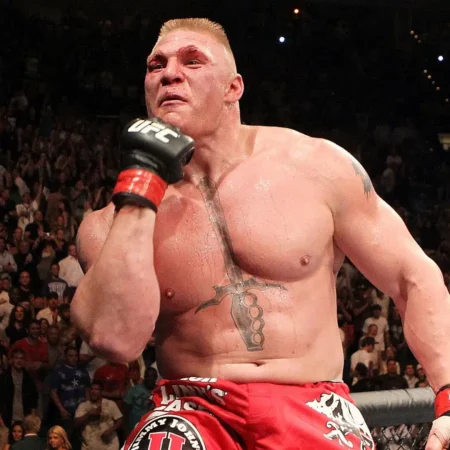 Самые взрывные бойцы MMA: кто они?