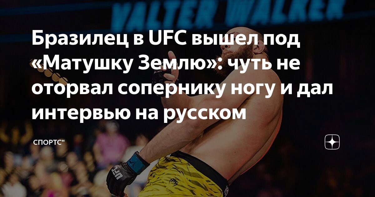 Preview Последние статьи о UFC