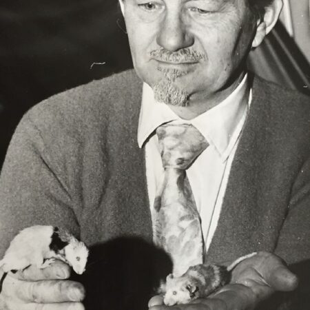 Последние статьи автора Кертиса Калхуна