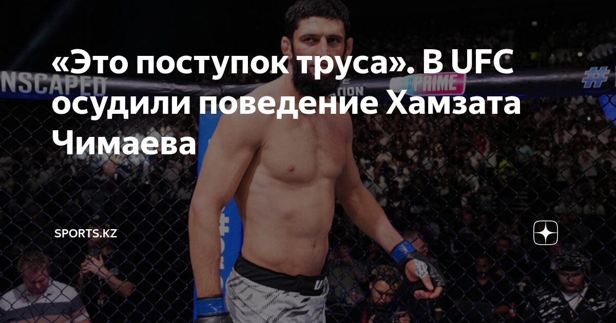 Preview Пауло Коста обвиняет Хамзата Чимаева в отправке «мерзких» сообщений его девушке и призывает к бою после UFC 318