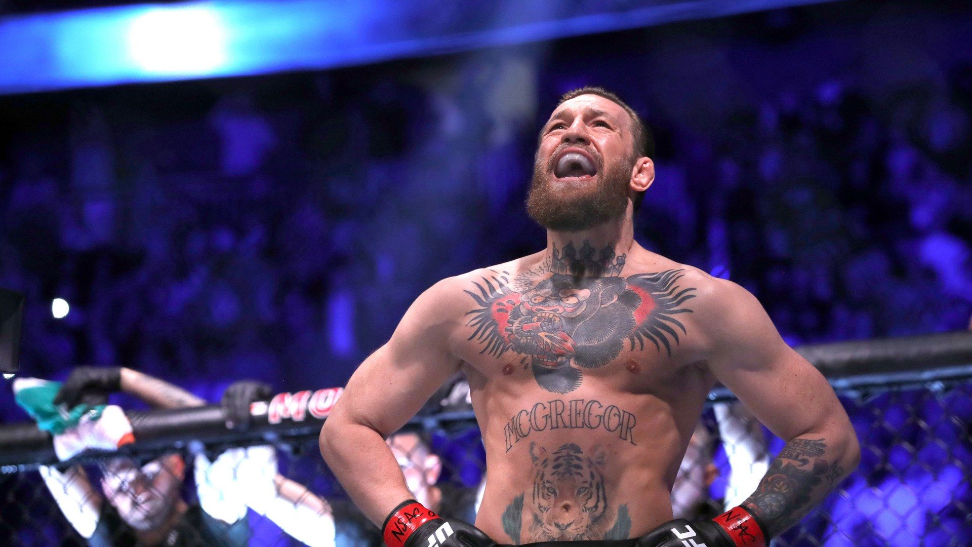 Preview Возвращение Конора МакГрегора: почему 2026 год станет переломным для ММА