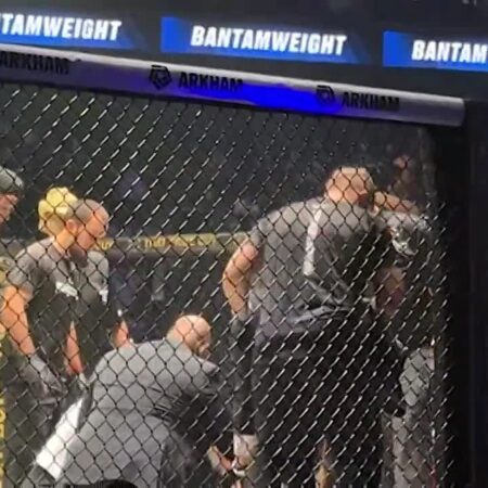 Хабиб Нурмагомедов: жест уважения Серхио Петтису после эффектного нокаута в Дубае